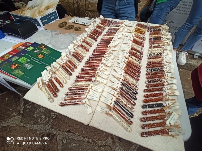 Fresher's Day agronomia