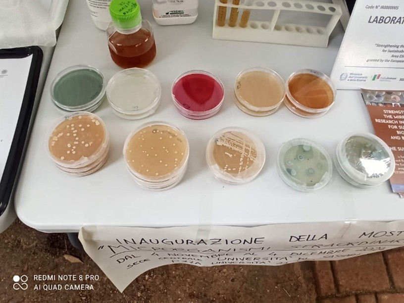 Fresher's Day microrganismi