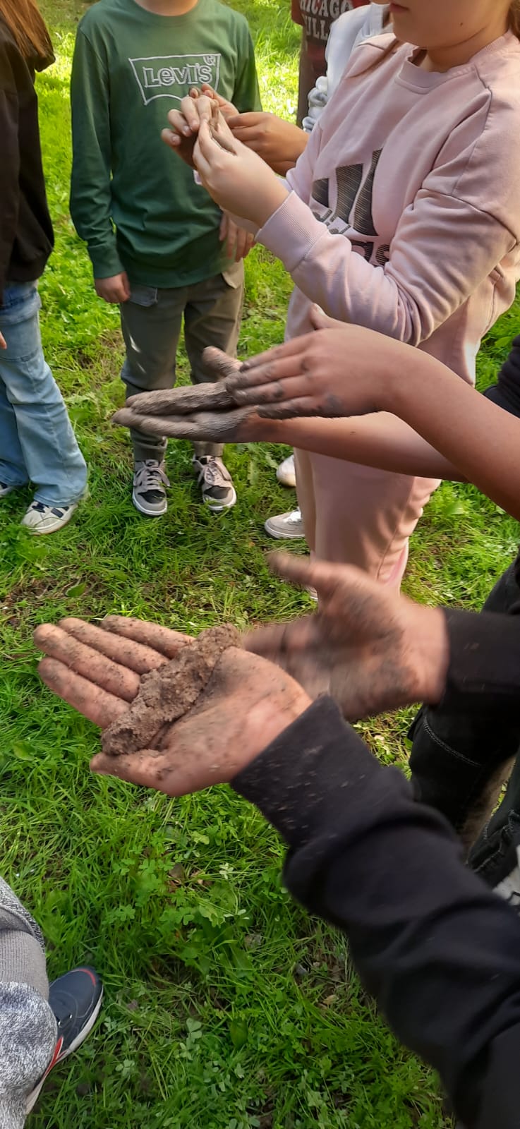 Attività Mission Soil