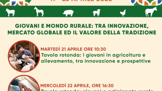 Ollastra san Marco 2026