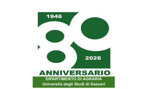 logo 80 Anniversario
