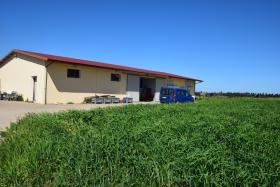 Stalla Didattico-Sperimentale Ottava