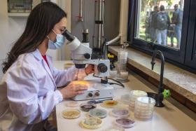 Laboratorio patologia vegetale_microscopio