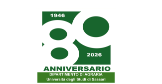 logo 80 Anniversario